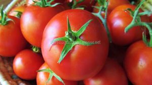 Fresh Tomato