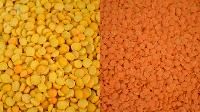 yellow peas lentils