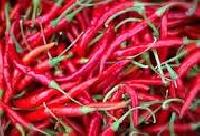 Chillies