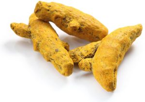 Turmeric