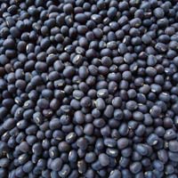 Black Urad Dal