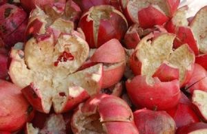 Dry Pomegranate Peel/ Rind