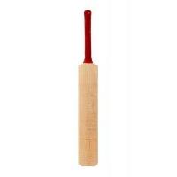 Cricket Equipment