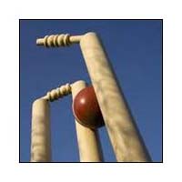 Cricket Stumps