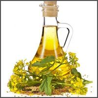 Mustard oil