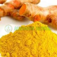 Curcumin Extract