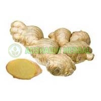 GINGER EXTRACT