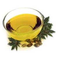 Castor Seed Oil