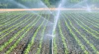 Micro Drip Irrigation System