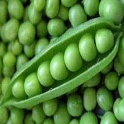 Fresh Green Peas