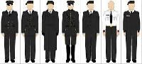 armed forces uniform