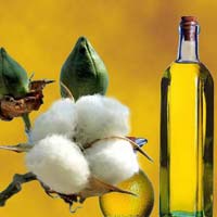 Cottonseed Oil