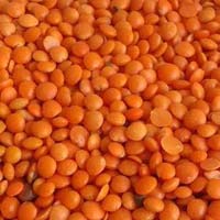 Indian Pulses