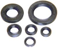 engine oil seals