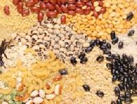 Organic Pulses