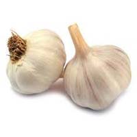 Fresh Garlic