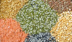 Indian Pulses