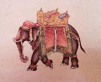 Elephant Painting