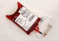 Blood Bag - 350 Ml