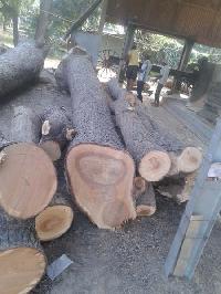 neem wood