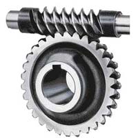 worm wheel gear