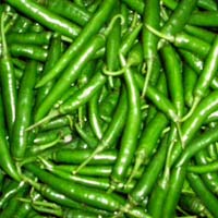 Fresh Green Chili