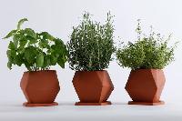 plant pots