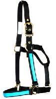 Horse Halters