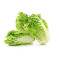 Chinese Cabbage