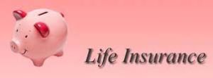 Life Insurance Consultant