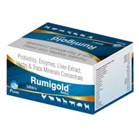 Rumigold Bolus