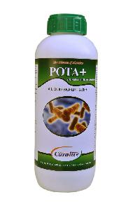 Pota+ Liquid Biofertilizer