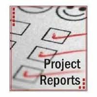 Technical Project Report Services