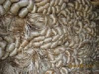 Jute Fiber