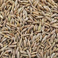 Cumin Seeds