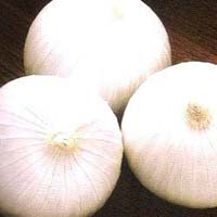 Fresh White Onion