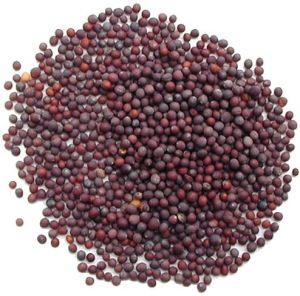 Black Mustard Seeds