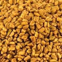 Fenugreek Seeds