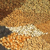 Food Grains