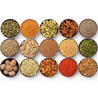 Indian spices