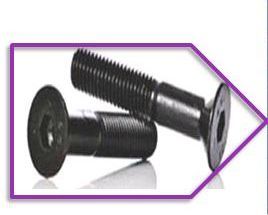 Sunk Head Cap Screws (CSK)