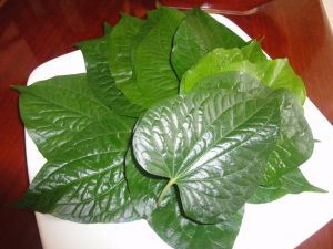 Betel Leaves