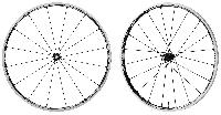 Bicycle Wheels