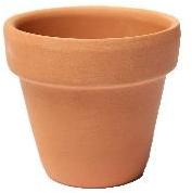 Terracotta Flower Pot