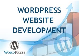 Wordpress Customization Services