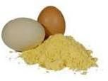 Whole Egg Powder