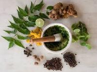 Ayurvedic Herbal Medicines