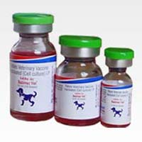 Rabivac Vet Vaccine