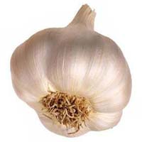 Garlic Bulbs