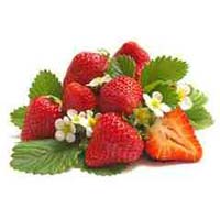 Fresh Strawberry